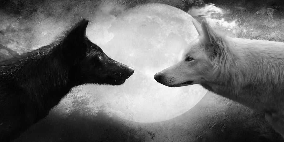 Diamond Painting eines schwarzen und eines weißen Wolfes im Profil vor einem großen Vollmond.
