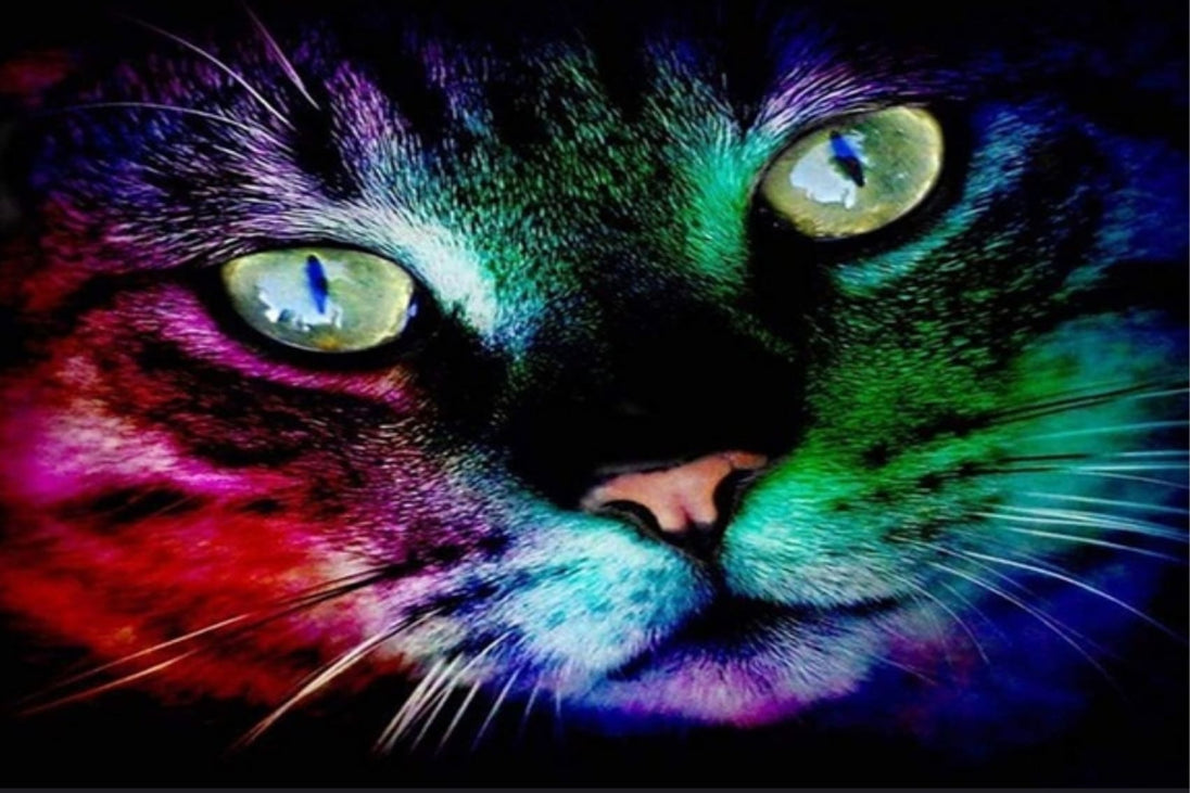 Diamond Painting mit farbenfrohem Katzengesicht und leuchtenden grünen Augen auf dunklem Hintergrund.
