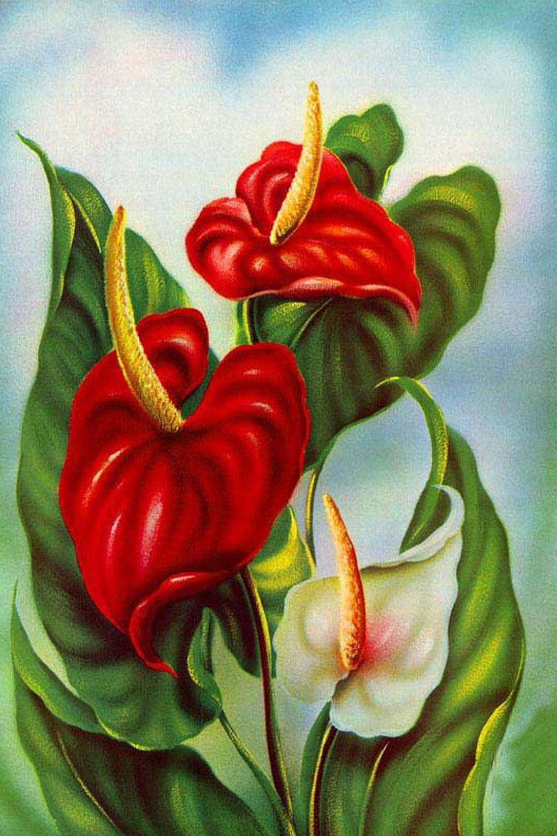 Diamond Painting mit roten Anthurien, weißer Calla und grünen Blättern im botanischen Stil.
