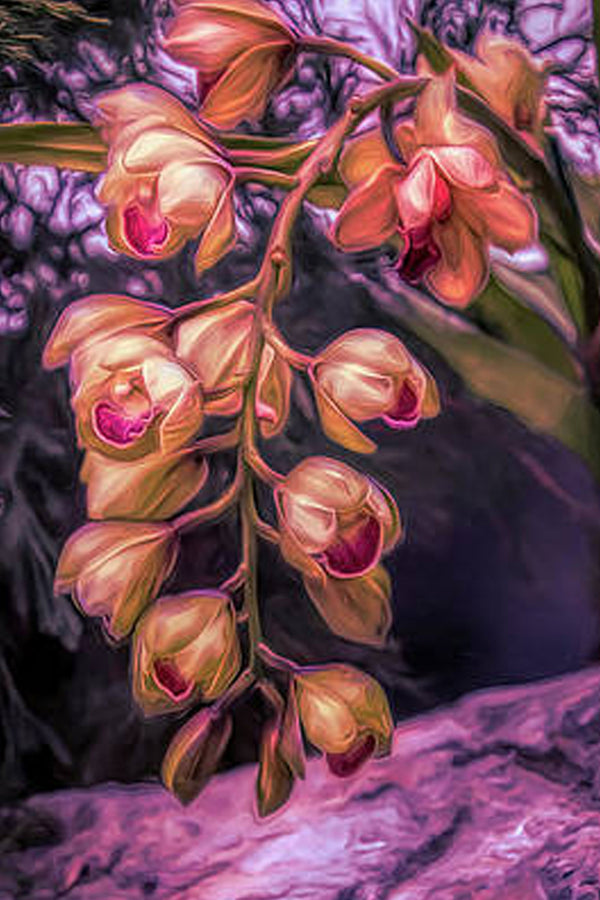 Diamond Painting mit hängenden Orchideenblüten in Creme- und Rosétönen vor dunklem Naturhintergrund.
