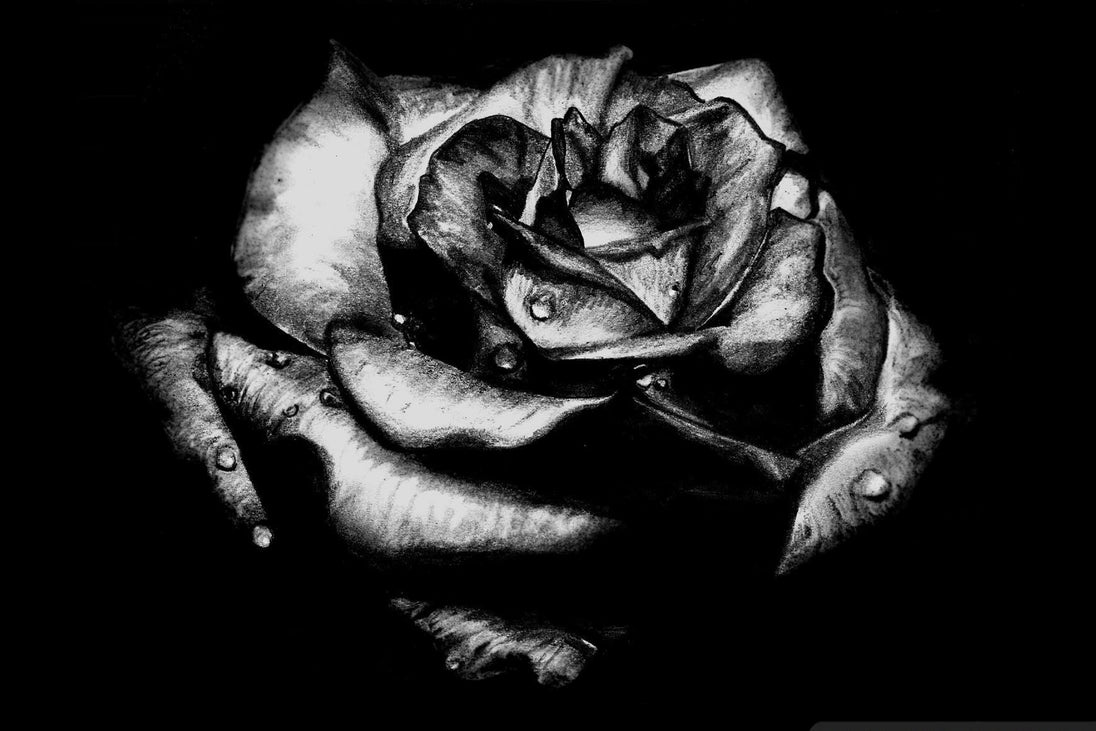 Diamond Painting mit schwarzer Rose in Schwarz-Weiß und Wassertropfen vor dunklem Hintergrund.