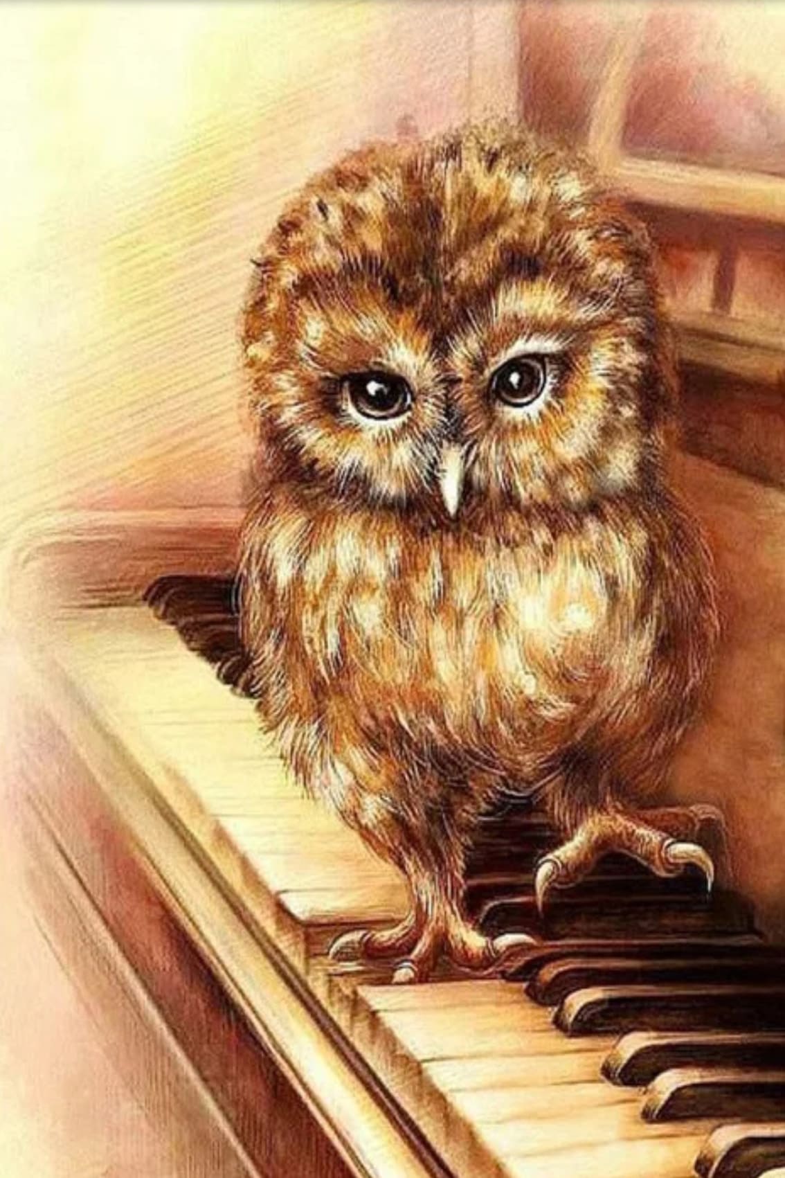 Diamond Painting einer kleinen braunen Eule, die auf den Tasten eines Klaviers steht. 