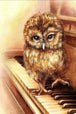 Diamond Painting einer kleinen braunen Eule, die auf den Tasten eines Klaviers steht. 