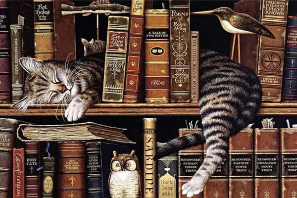 Diamond Painting mit schlafender Katze zwischen antiken Büchern in einem detailreichen Bücherregal.