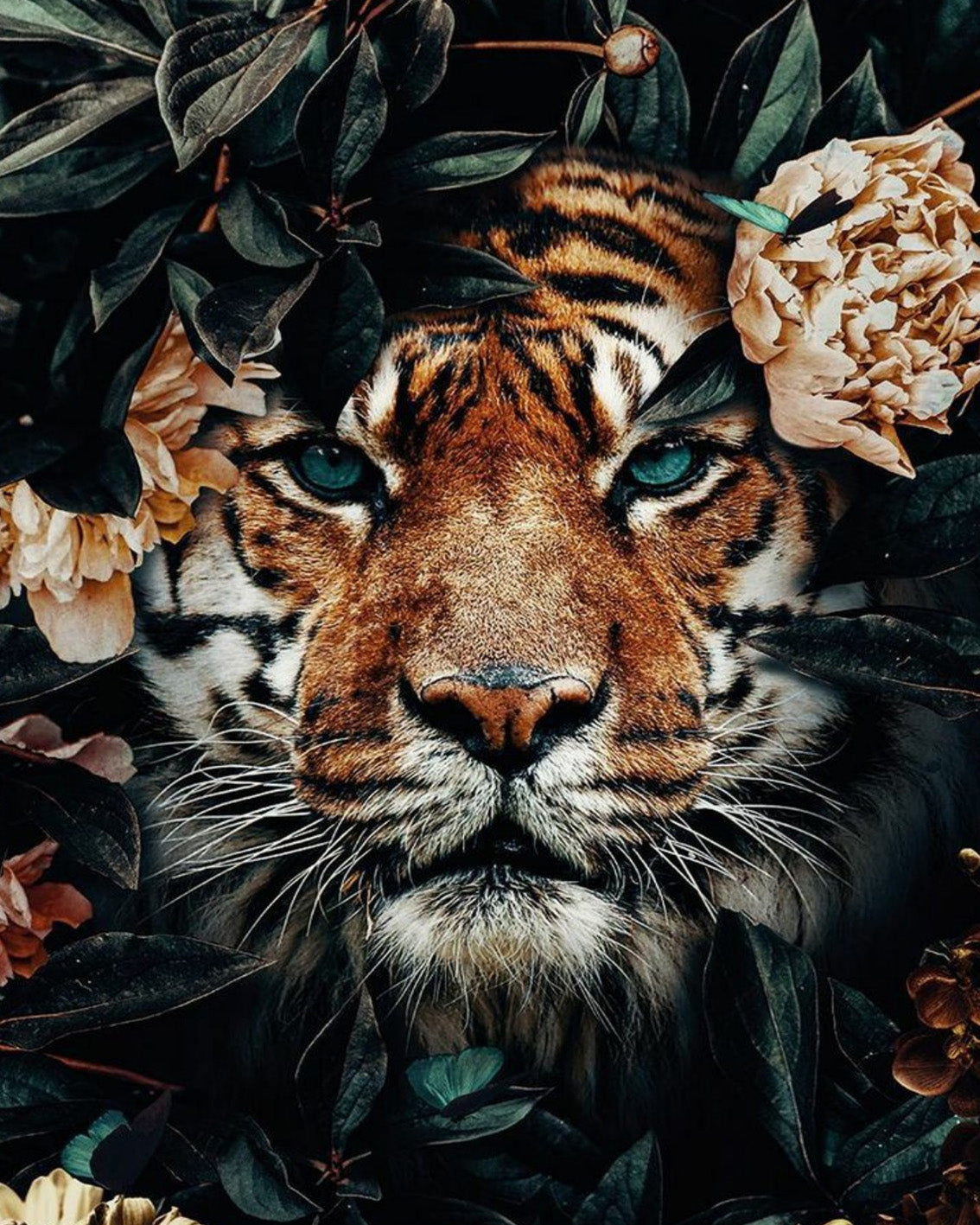 Diamond Painting eines Tigers mit türkisen Augen, umrahmt von dunklen Blättern und hellen Pfingstrosen.
