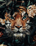 Diamond Painting eines Tigers mit türkisen Augen, umrahmt von dunklen Blättern und hellen Pfingstrosen.