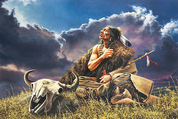 Diamond Painting eines indigenen Mannes beim Gebet in der Prärie neben einem Bison-Schädel unter Gewitterwolken.