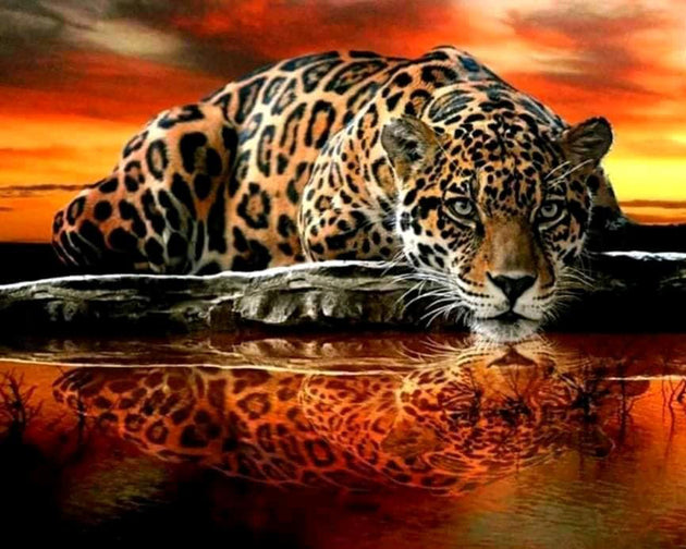 Diamond Painting eines Leoparden, der aus einem Fluss trinkt, mit perfekter Spiegelung im Wasser bei Sonnenuntergang.
