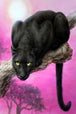 Diamond Painting eines schwarzen Panthers auf einem Baumast vor einem leuchtend pinken Waldhintergrund. 