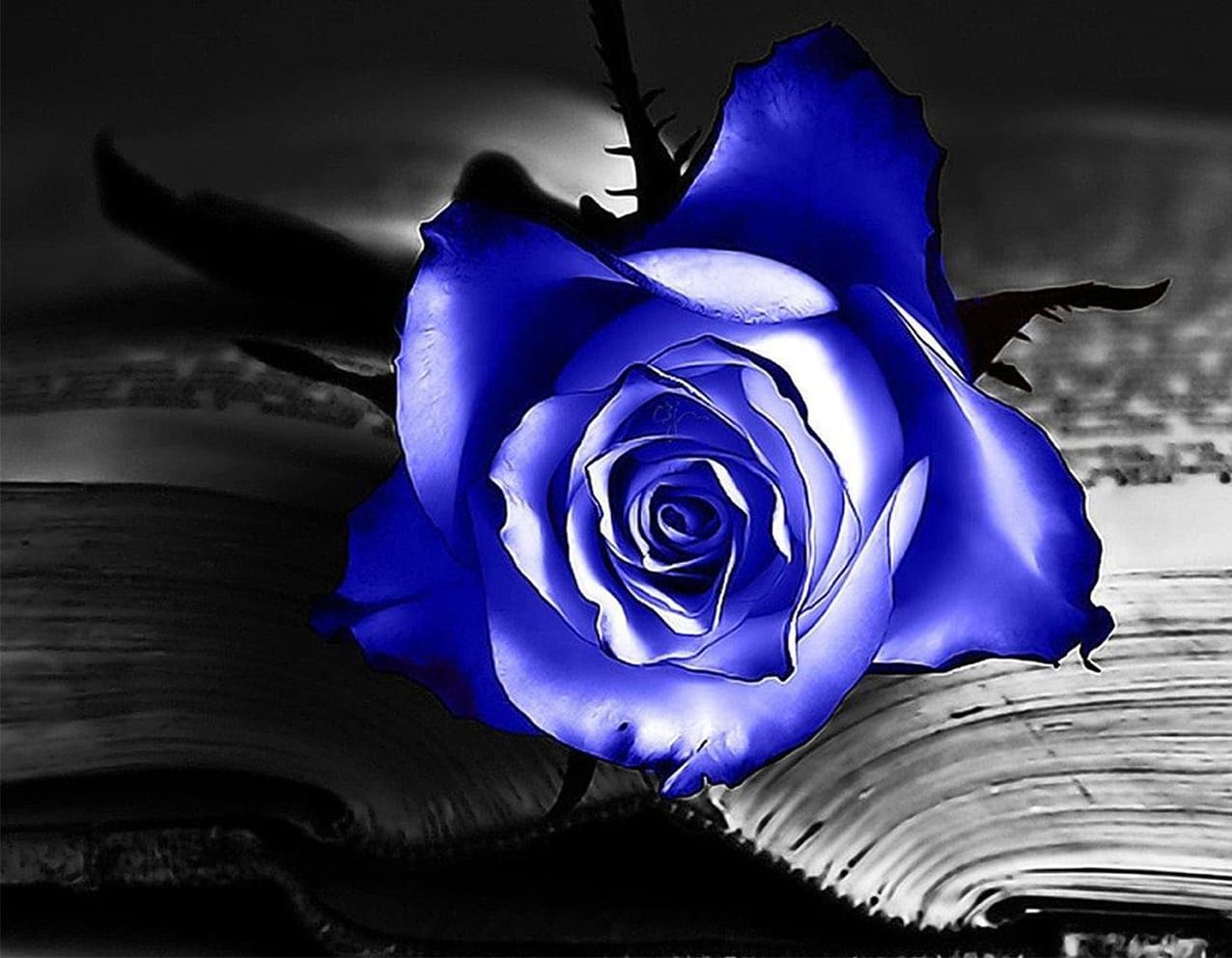 Diamond Painting einer leuchtend blauen Rose auf einem schwarz-weißen aufgeschlagenen Buch. 
