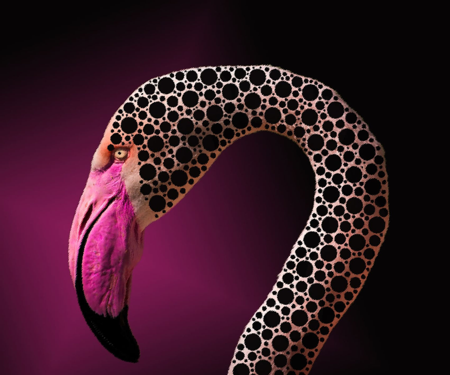 Diamond Painting eines Flamingos mit schwarz gepunktetem Muster auf dem Hals vor pinkem Hintergrund. 
