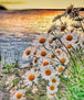 Diamond Painting mit weißen Margeriten am Seeufer während eines goldenen Sonnenuntergangs.
