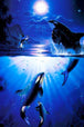 Diamond Painting mit mehreren Orcas bei Vollmond über und unter der Meeresoberfläche.