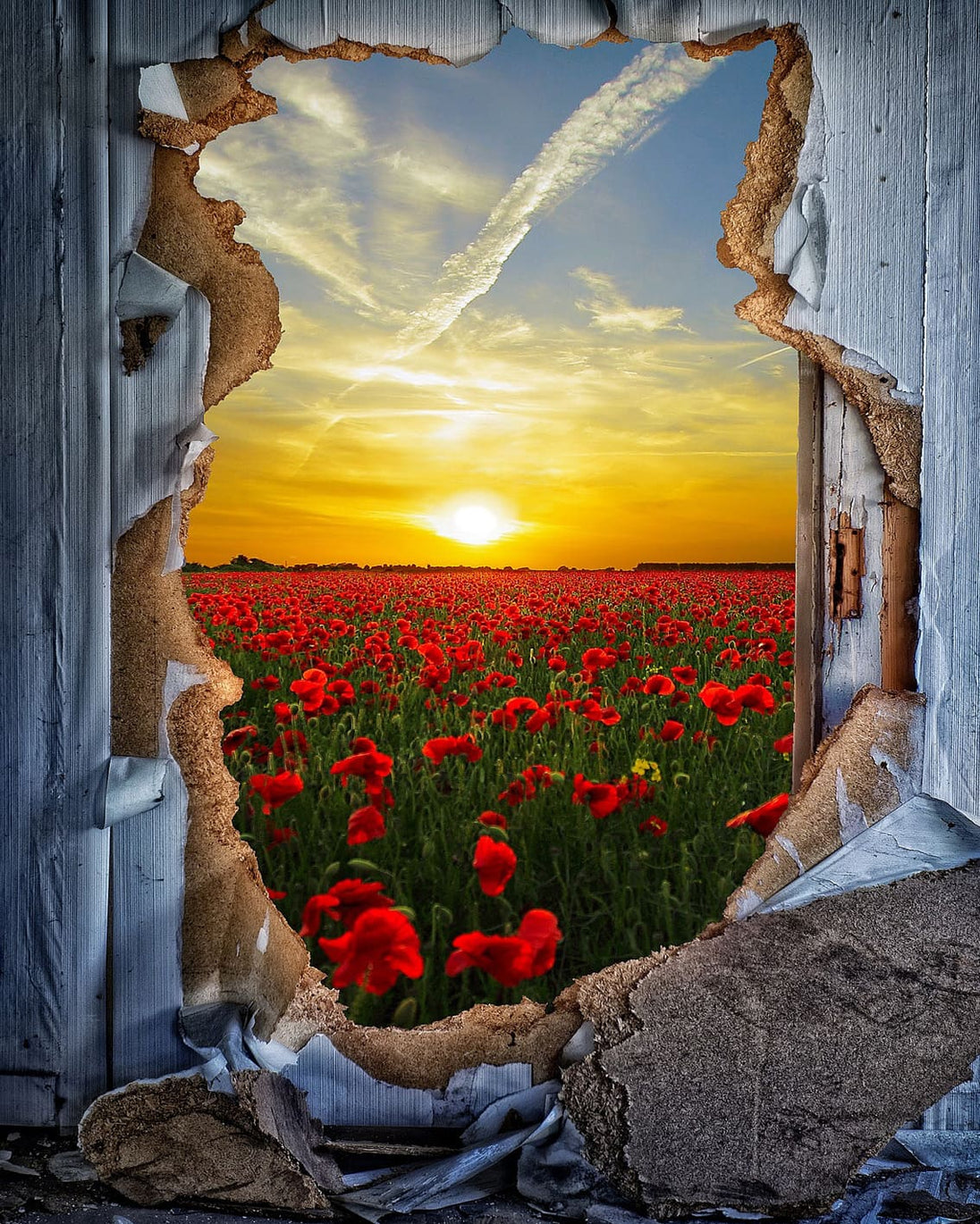 Diamond Painting mit 3D-Effekt: Blick durch ein Loch in der Wand auf ein rotes Mohnfeld bei Sonnenuntergang. 
