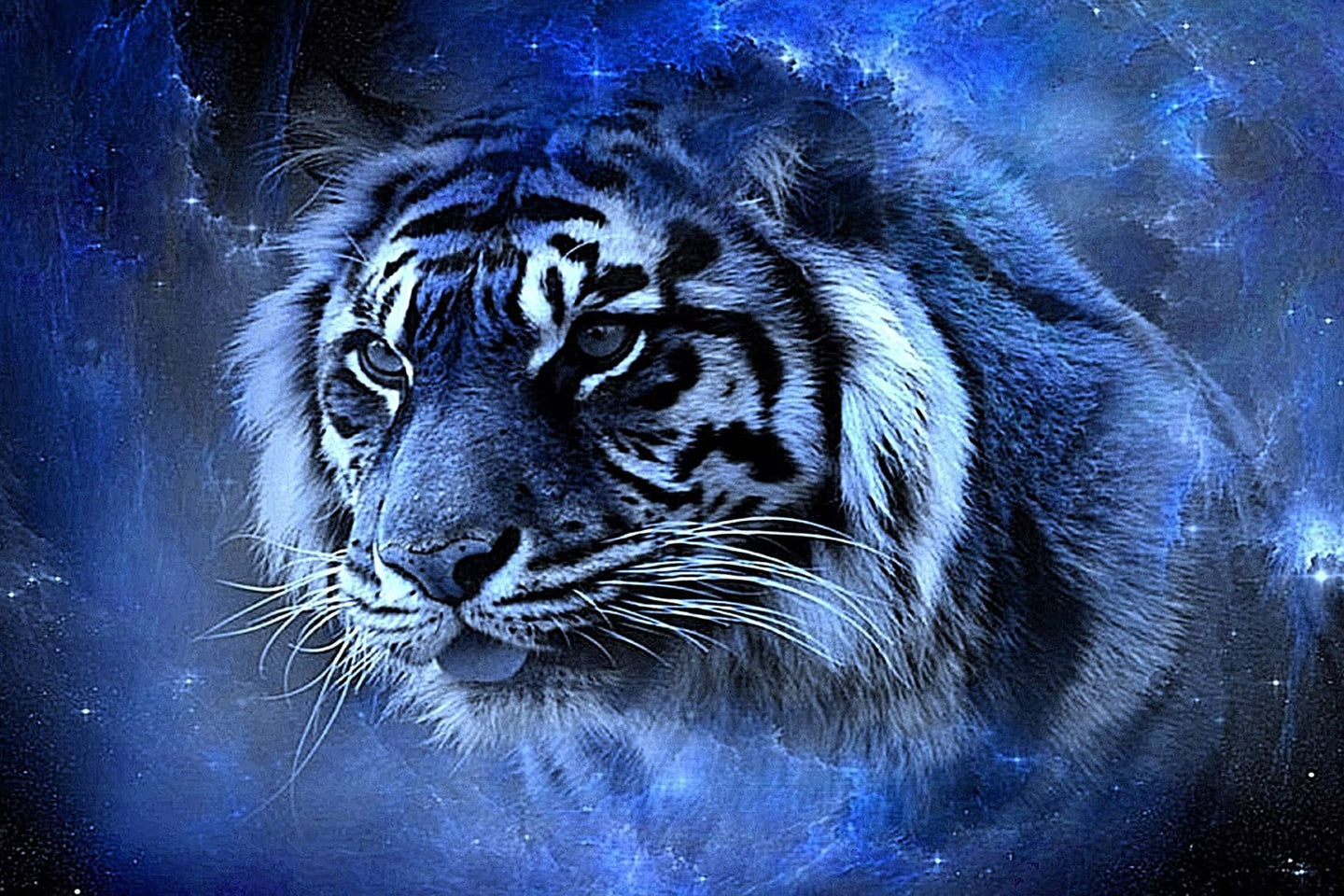 Diamond Painting eines Tigerkopfs, dessen Fell mit blauen Galaxien und leuchtenden Sternen verschmilzt.