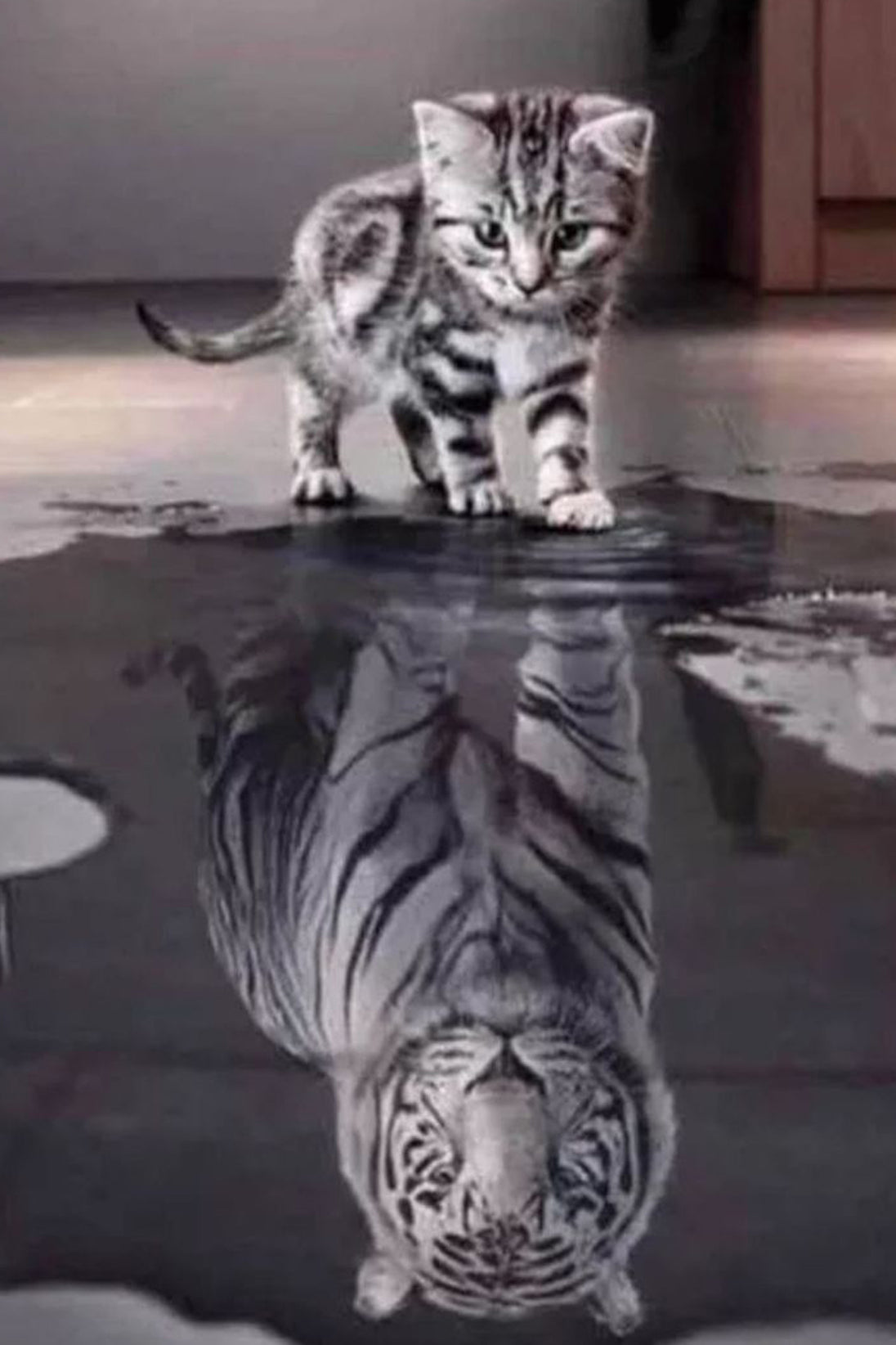 Diamond Painting einer kleinen Katze, die in eine Pfütze blickt und darin einen Tiger als Spiegelbild sieht.
