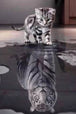 Diamond Painting einer kleinen Katze, die in eine Pfütze blickt und darin einen Tiger als Spiegelbild sieht.

