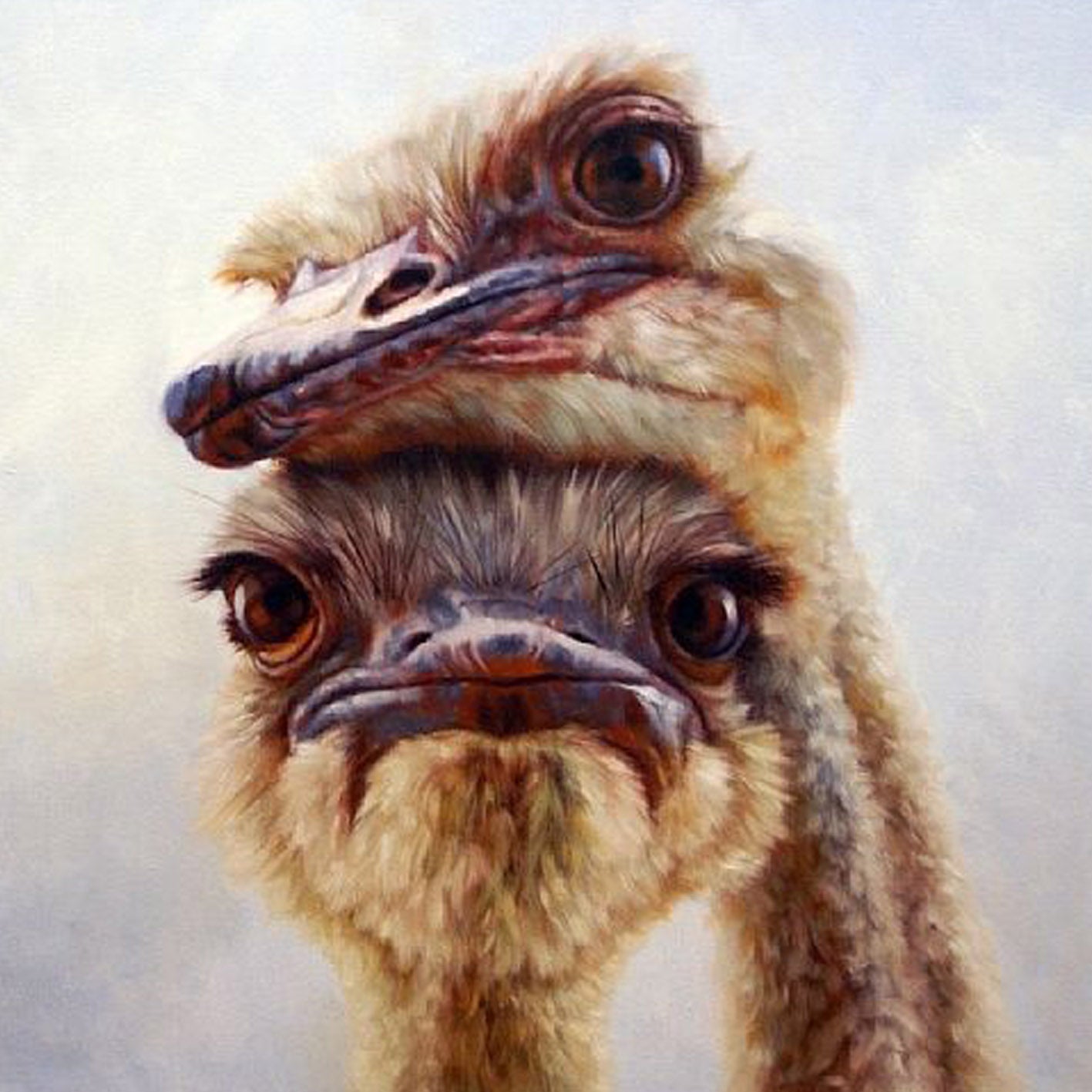 Diamond Painting von zwei eng aneinandergekuschelten Straußenköpfen mit großen braunen Augen im Porträt-Stil.