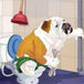 Diamond Painting mit Bulldogge auf Toilette im Cartoonstil mit Zeitung und Badezimmerkulisse.
