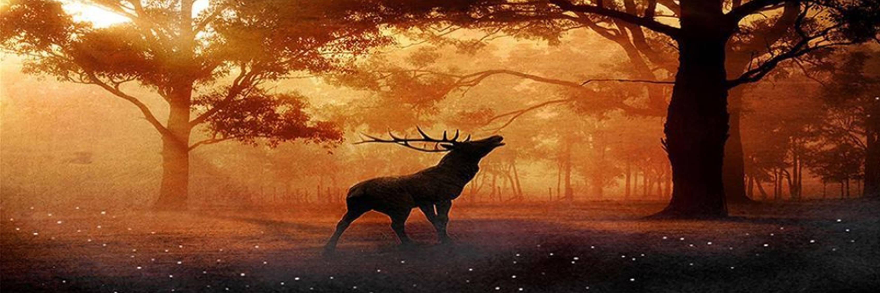 Diamond Painting eines röhrenden Hirsches im nebligen Wald bei goldenem Sonnenlicht.