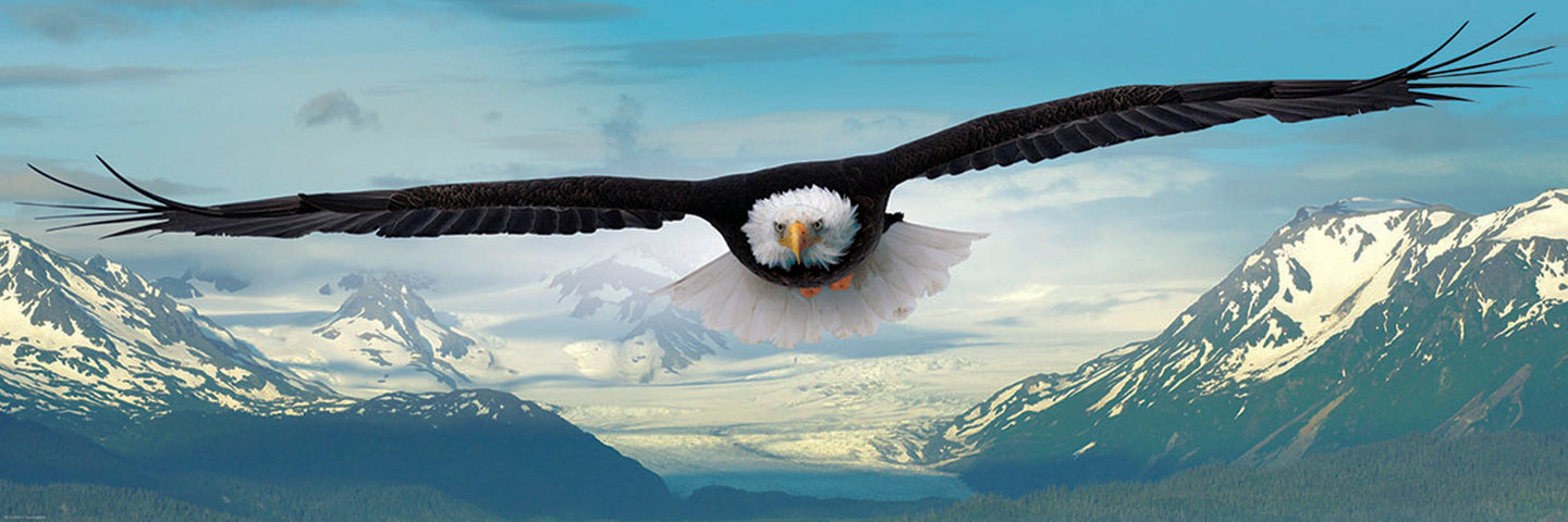 Diamond Painting eines fliegenden Weißkopfseeadlers über einem weiten Panorama aus verschneiten Berggipfeln. 
